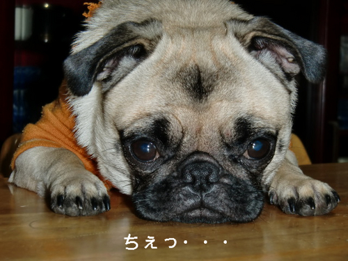 BlogPaint