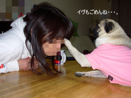 2009 11 19_3121.JPG