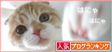 e_BN0906a