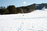 雪遊び