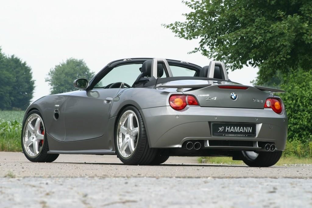 Bmw z4 e85 hamann #5