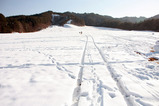 雪遊び