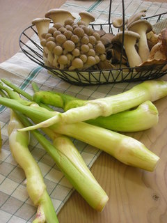 DSCN5103