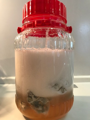 ドクダミ発酵170523
