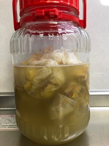 秋ウコン181207