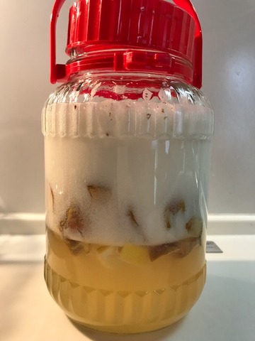 リンゴ発酵170426-01