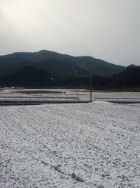 中土佐町大野見の田んぼ