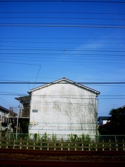 ラジオで応援しました。