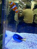 3db733a1.jpg