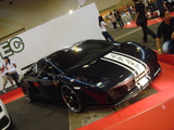 gallardo_b
