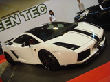 gallardo_w