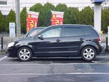 Polosachs02
