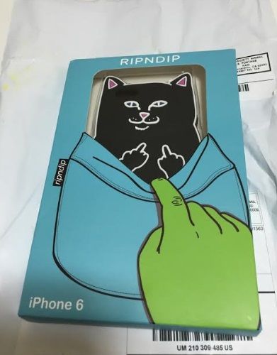 ねこ