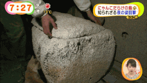 今日保存した最高の画像を転載するスレ 379 [転載禁止]©bbspink.com	xvideo>1本 YouTube動画>7本 ->画像>995枚 
