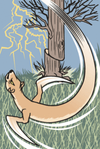 kamaitachi
