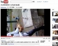 20100830214020_4_1