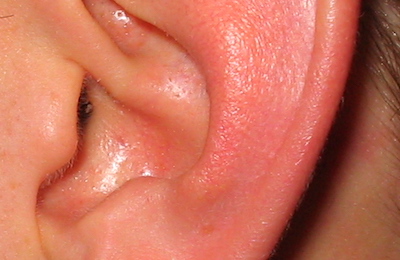 Ear