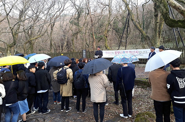 【愕然】 韓国「ワシントンの桜は韓国発祥だ!!!」→ その結果wwwwwwwwwwwwwwwwwwwww