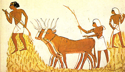 400px-Trilla_del_trigo_en_el_Antiguo_Egipto