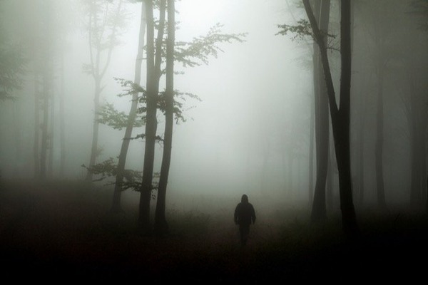 0704fog-1