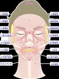 脳への攻撃 マイクロ波聴覚効果 電磁波 攻撃 復讐