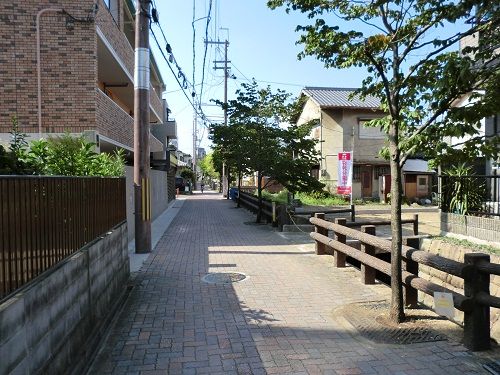 CIMG0121-2
