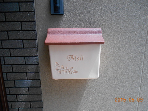 DSCN5389