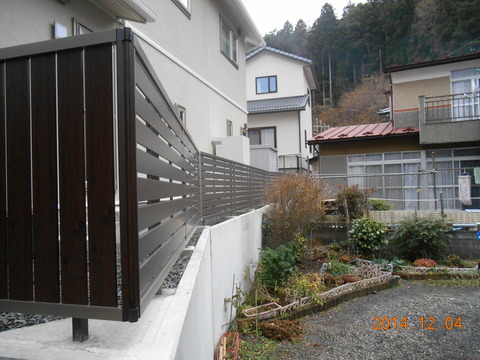 DSCN3731