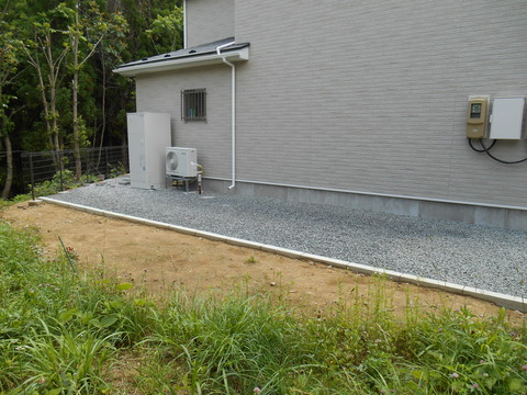 DSCN1782