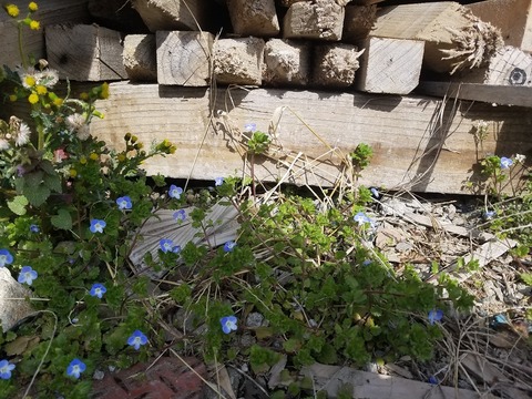 20180410_141557