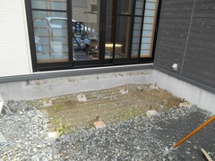 DSCN1895