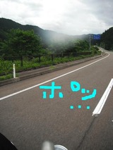 blogfree12 304