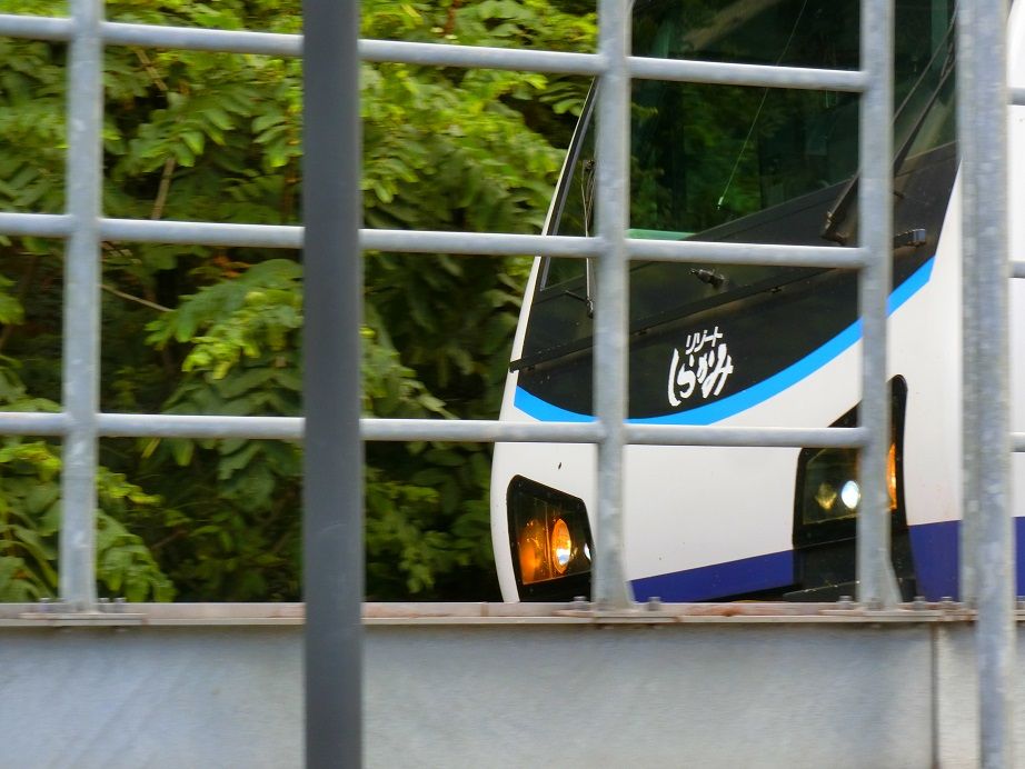 CIMG6650