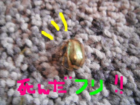 金持ち。。。