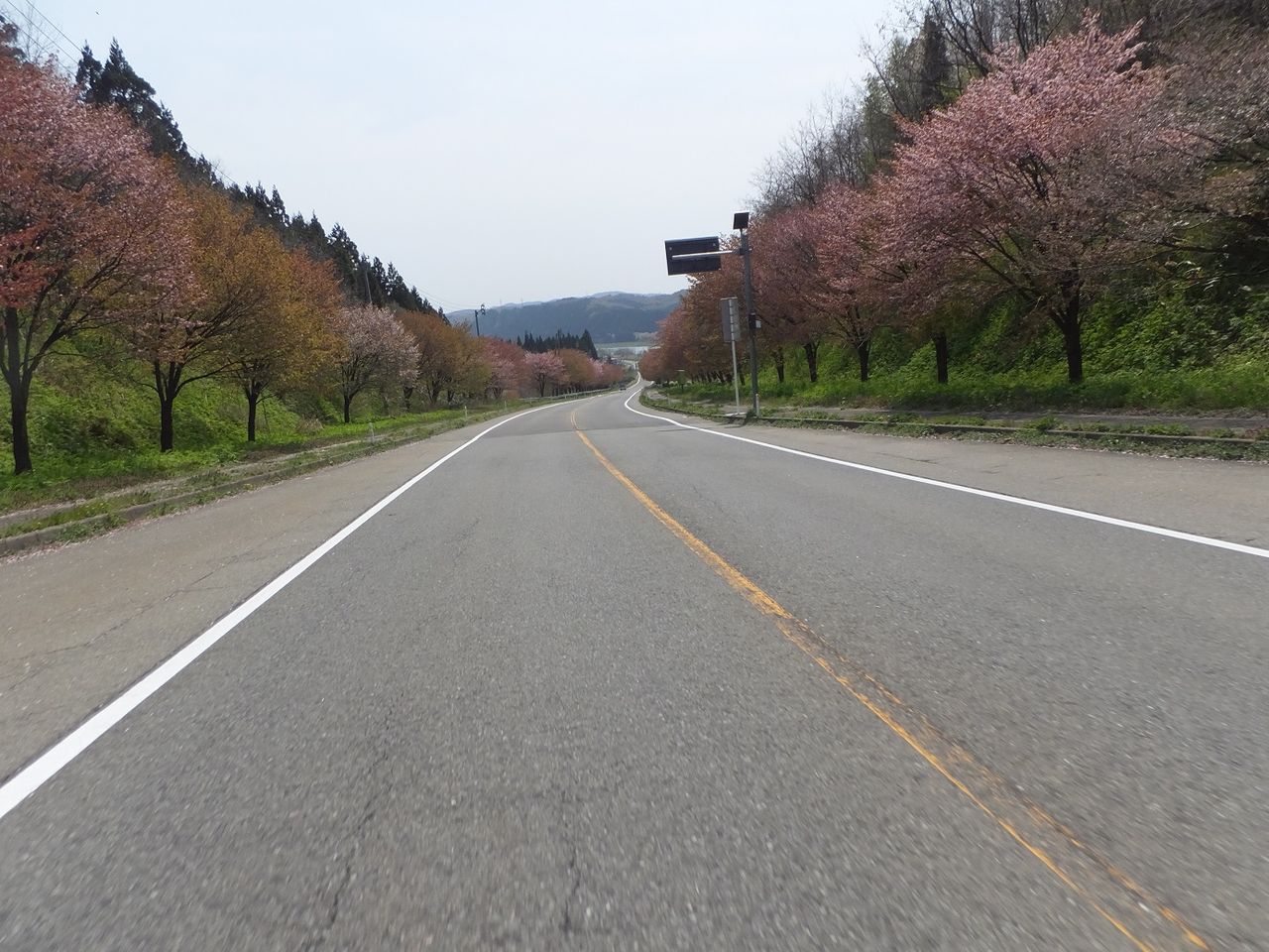DSCF4784