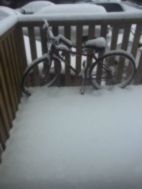 112311 雪