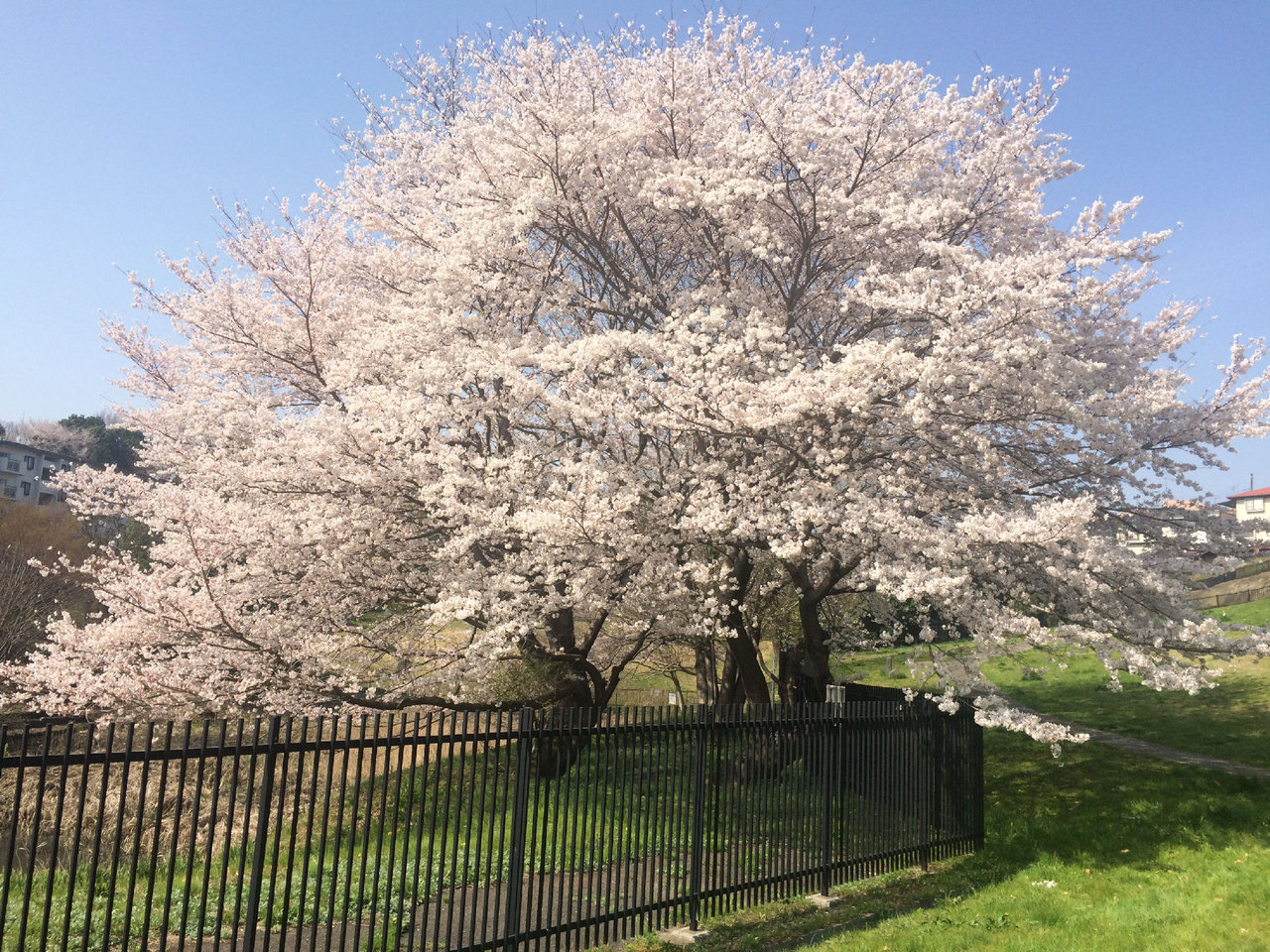 20180329���֤�����κ�