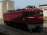 P1060184trim.jpg