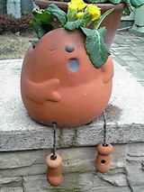 春