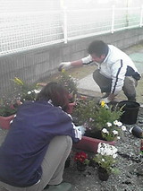 花植え