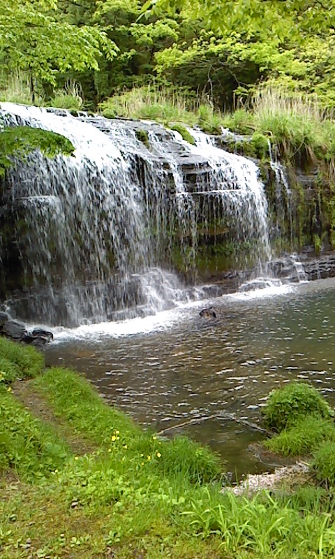 P2010_0511_100151