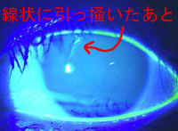 BlogPaint
