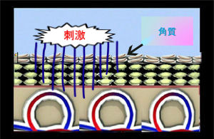 BlogPaint