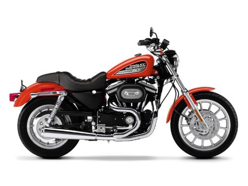 wide-harley-davidson-xl883r-sportster-883r-1