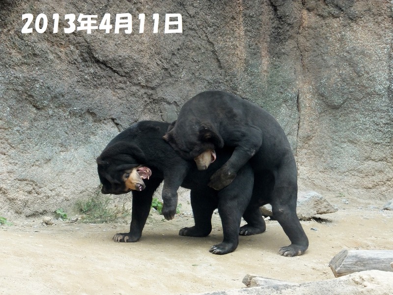 3-130411-atom-uran-190821