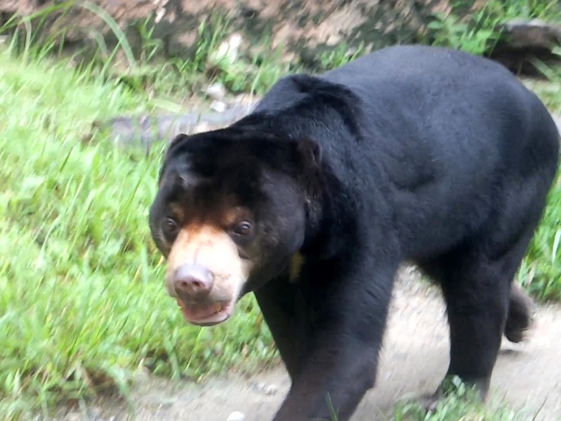 14-180921honey
