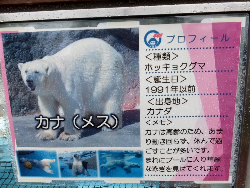 2-180921kana