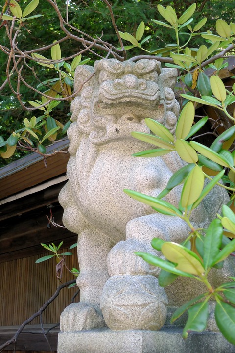 琴 神門狛犬右