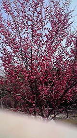 2010022311510000