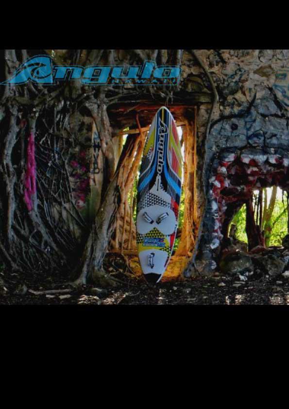 734100_441605185918076_2132888200_n